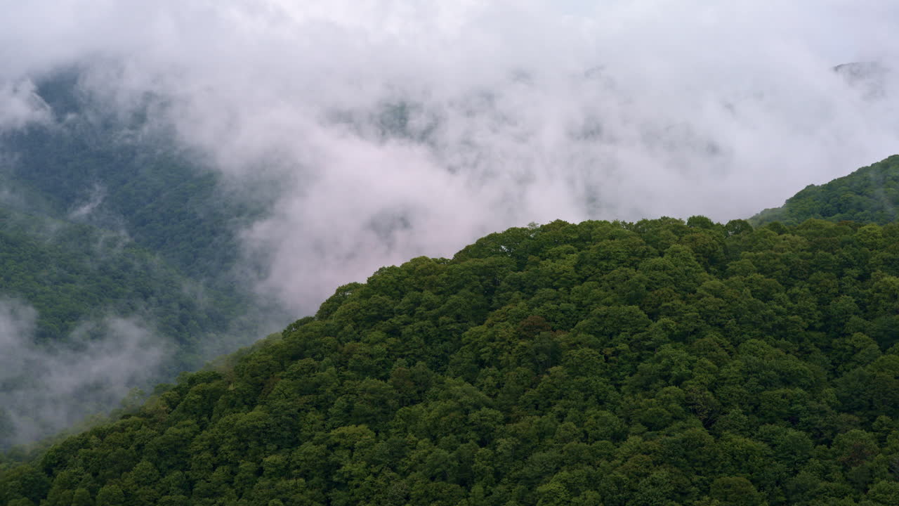 Aerial glide across misty, cinematic Smoky Mountain vistas