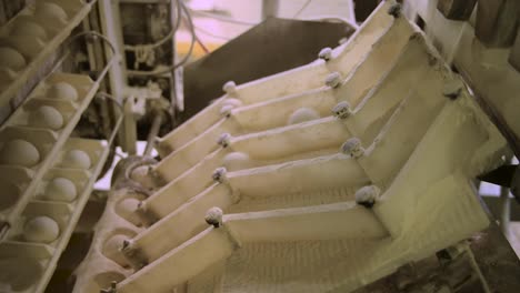 balls of dough in a production line of industrial automated bread factory