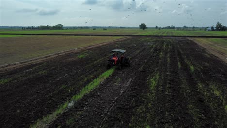 Traktor-Arbeitet-In-Einem-Grünen-Reisfeld-Mit-Weißen-Vögeln,-Die-Umherfliegen,-Luftaufnahme