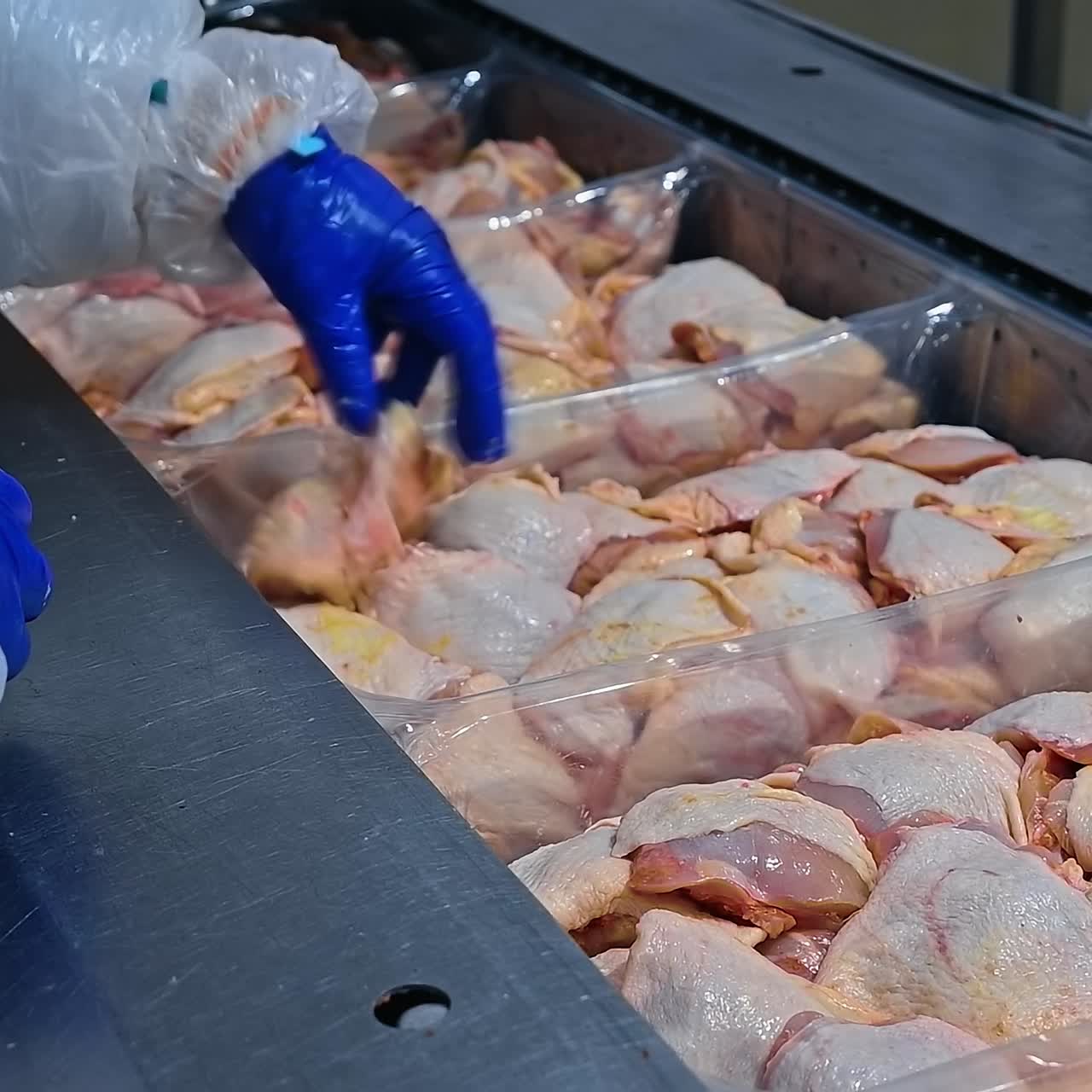 Meat processing plant. Ready chicken meat packaged in containers on a conveyor line. Worker places meat on a poultry farm and preparing to the wrapping