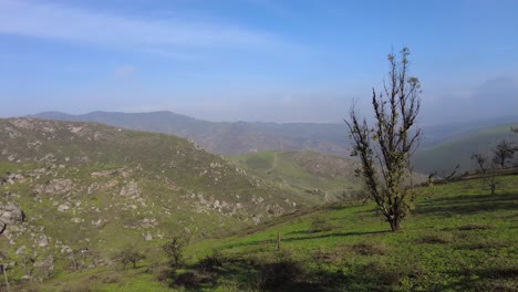 peru, lachay hills with a unique green ecosystem in the desert