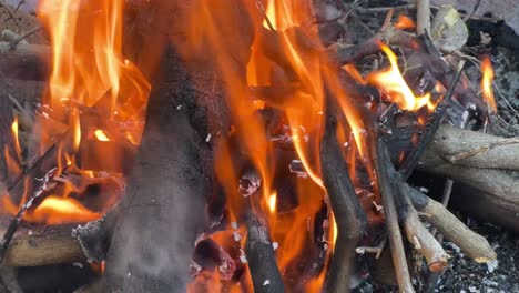 a fire pit with a raging log fire