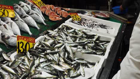 fresh fish at a market stall