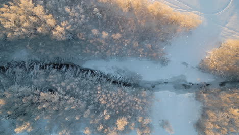 aerial nordic winter landscape, snow falling on frozen river through forest