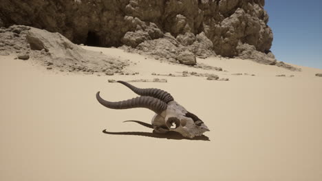 cráneo de animal en el desierto