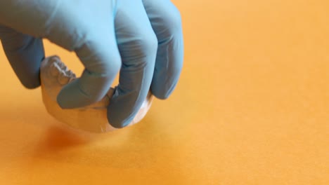 a dentist picks up and then places down a dental impression, for making invisible braces, bruxism, or dentures, with his hand in a blue medical glove