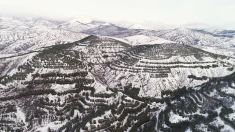 snowy mountains with terraced hills and pine trees