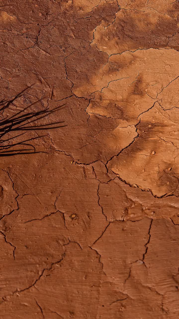 Drought timelapse soil land cracks earthy texture clay brown muddy, vertical video