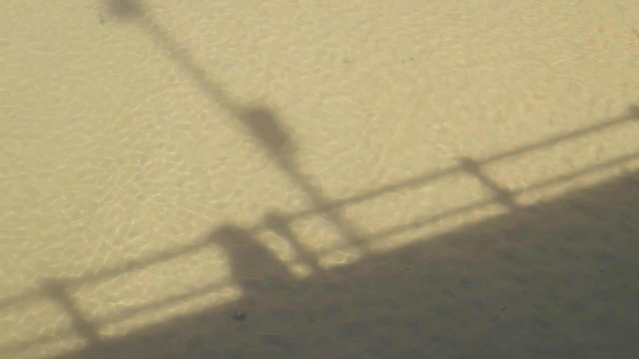 High angle minimalist shot displaying the crisp shadow of a person leaning on the iconic promenade railing cast onto the textured golden sand of San Lorenzo beach in Gijon, Spain.