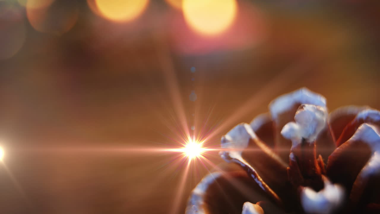 Animation of glowing lights moving over fir tree cone christmas decorations