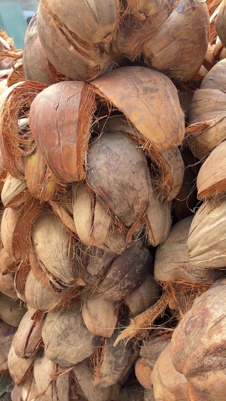 Close Up of Stacked Brown Coconut Husks and Fibers