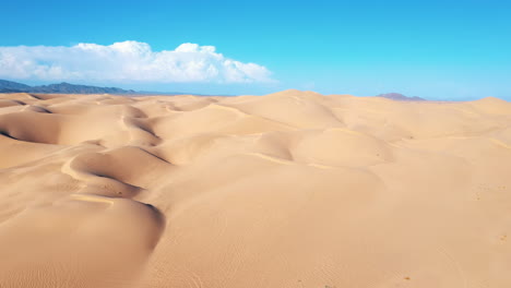 imperial sand dunes recreation area with tire tracks on blm land, a tourist destination for off-roading adventure