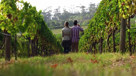 Rear-view-of-couple-holding-hands-and-standing-in-field