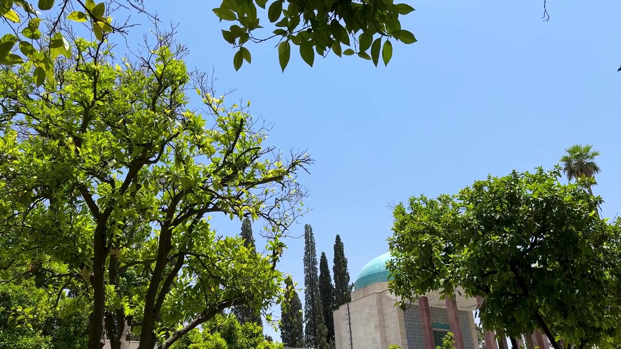 Jardim de laranjeiras e limoeiros na estação de verão, com a Mesquita Azul ao fundo, no Irã, Oriente Médio, Ásia. Atração turística de Saadi Shiraz, destino de viagem ensolarado, exibindo a herança persa da arquitetura paisagística botânica