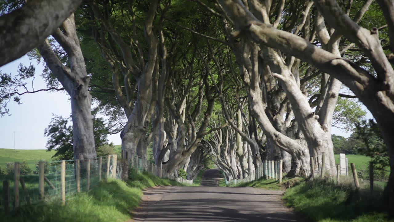 The Dark Hedges, Northern Ireland