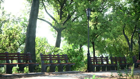 park scene with benches and street lamps