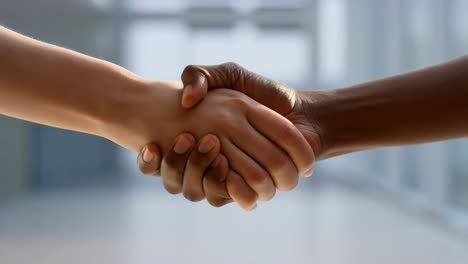 interracial handshake represents diversity and inclusion