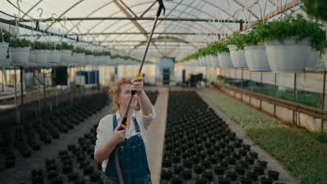 confident girl farmer with red hair in denim overalls waters suspended plants using a watering can with an extension cord in a greenhouse