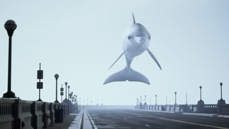 surreal image of a dolphin flying over a road