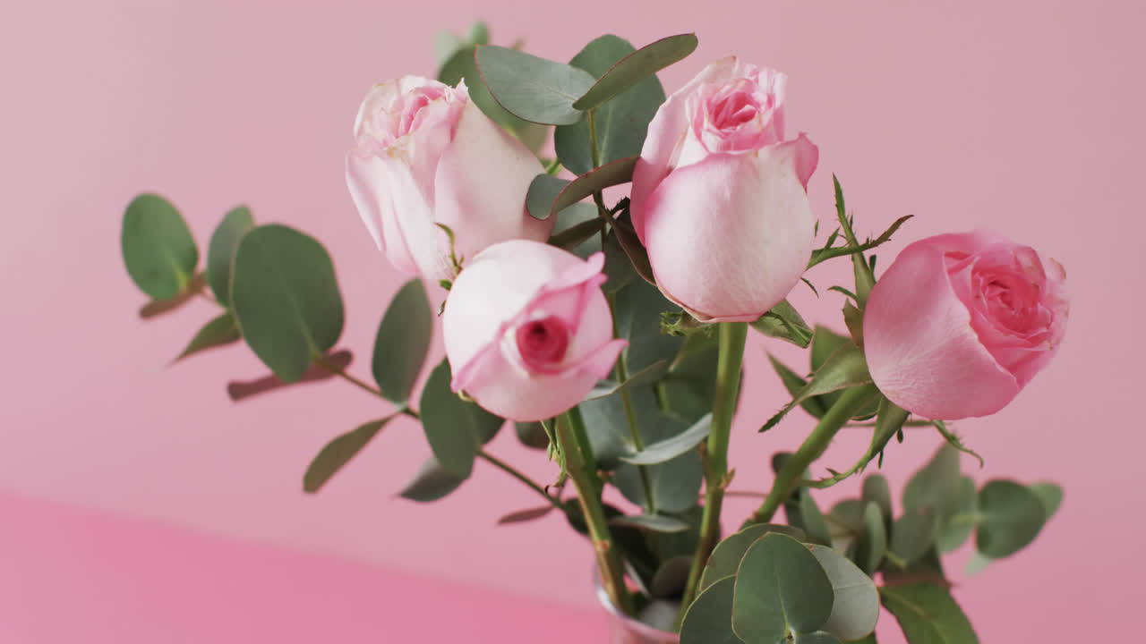 Video di rose rosa in vaso di vetro con spazio per il testo su sfondo rosa.