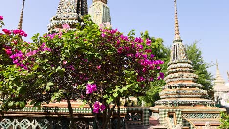 vibrant flowers and temple spires in bangkok