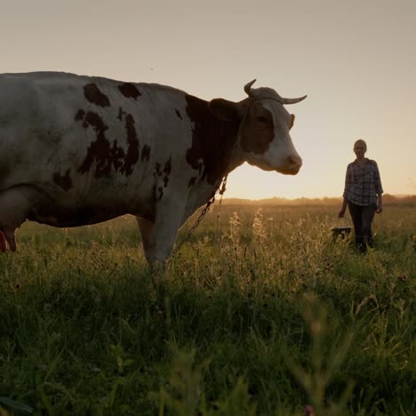 Una-Agricultora-Con-Un-Balde-En-La-Mano-2