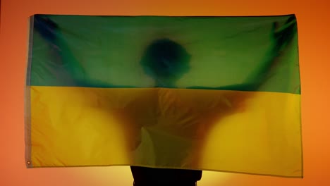 ukraine flag held high