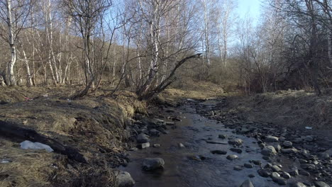 spring landscape with serene river