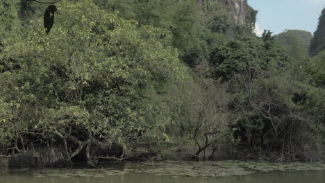 in hanoi vietnam scenic landscape