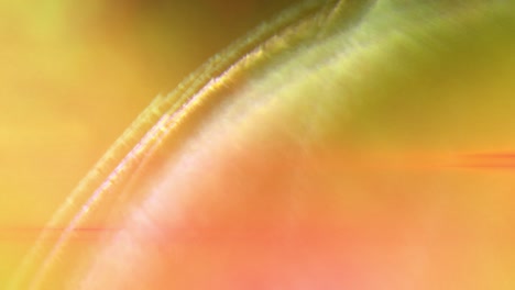 efecto de textura del destello de luz de la lente de fondo