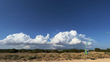 Green-kite-with-long-tail-flying-in-blue