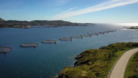 farm salmon fishing in norway