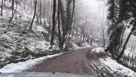 wet rainy rural village countryside road gravel in deep forest mountain landscape and driving in iran snowfall winter extreme cold hyrcanian gilan rasht highland wooden fence agriculture hut cabin