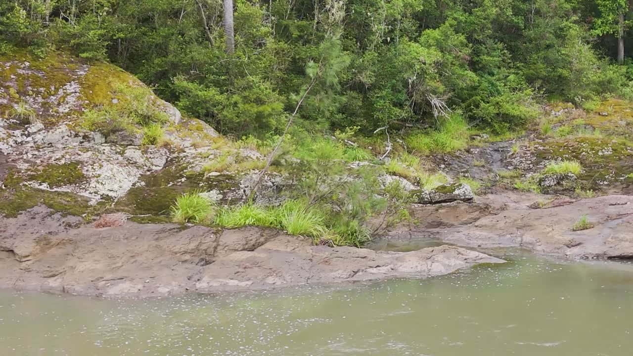 A serene view of a rocky riverbank surrounded by dense green vegetation and calm waters.