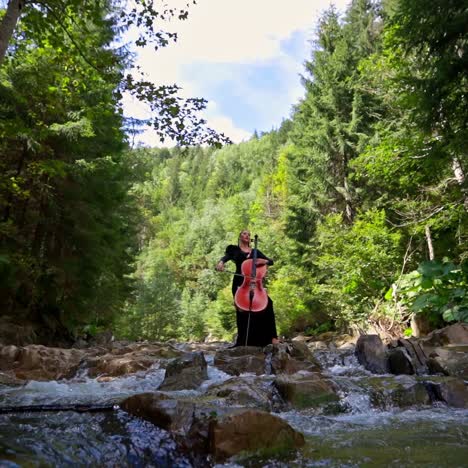 girl playing cello outdoor