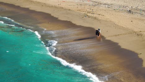 vietnam thung beach,. bãi chuối banana point, people cleaning beach which is heavily polluted