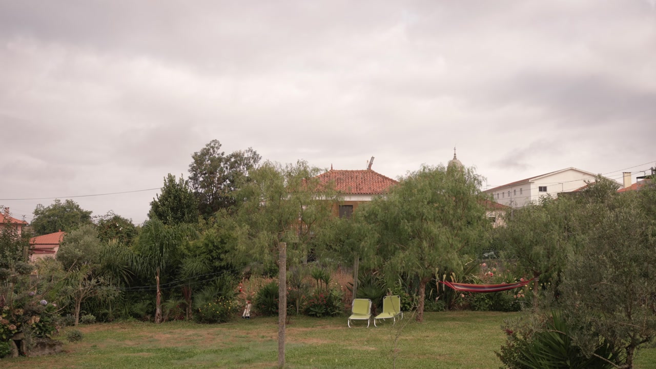 Peaceful garden view with green trees hammock and two chairs under cloudy sky