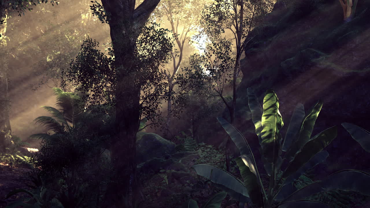 Luce del sole che filtra tra gli alberi in una serena foresta all'alba