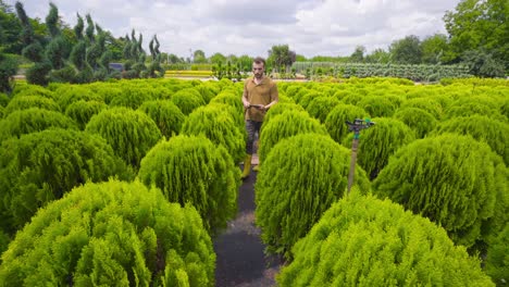 trabajador del invernadero que cuida las flores, flujo de trabajo en el invernadero para el cultivo.