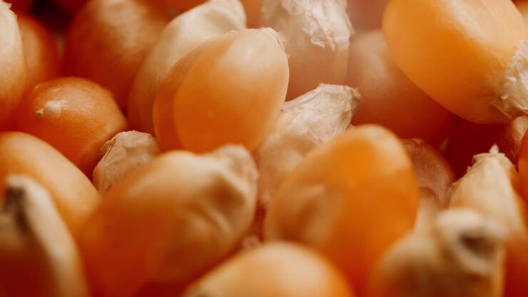 Circular Macro Shot Of Heap Of Fresh Raw Popcorn