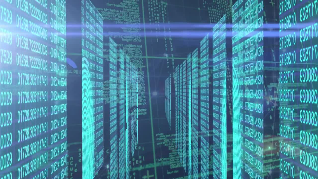 animación de la red de conexiones a través del procesamiento de datos