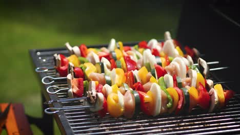 Colorful-and-tasty-grilled-shashliks-on-outdoor-summer-barbecue