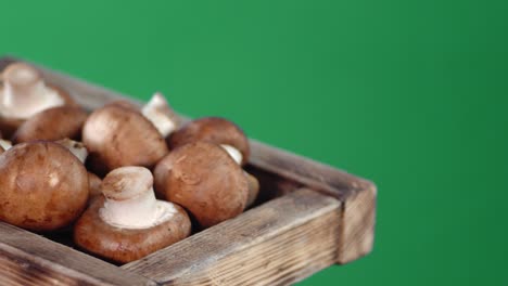 fresh mushrooms in a wooden tray.