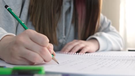 Tomando-Notas-En-El-Cuaderno