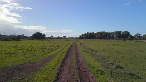 wild path dirt road