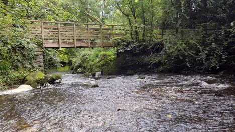 rural freshwater stream flowing under wooden bridge in woodland forest wilderness