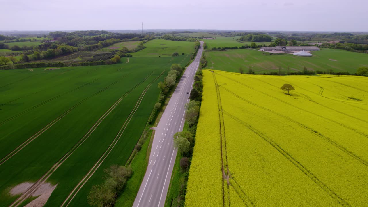 덴마크의 활기차고 다채로운 으로 둘러싸인 조용한 도로를 따라 달리는 차
