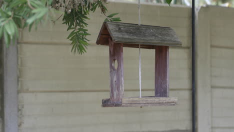 an old weathered wooden handmade bird feeder swings in the wind