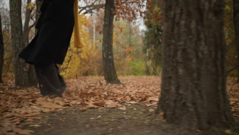 side leg view of an individual strolling through a forest, playfully scattering dry leaves with each step, dressed in canvas shoes and black jeans