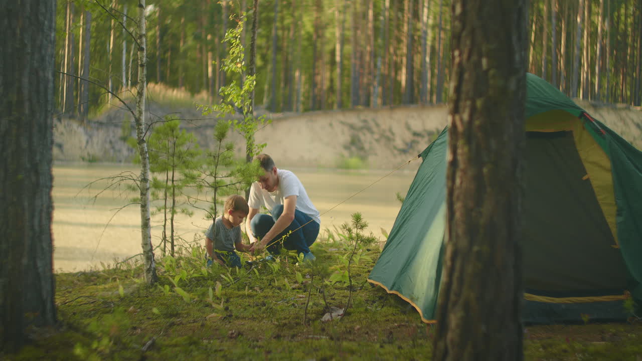 Fasten pegs in the ground to assemble a tent in the forest on the lake. Family vacation in nature. A boy of 3 years and a man's father together on a hike put a tent.